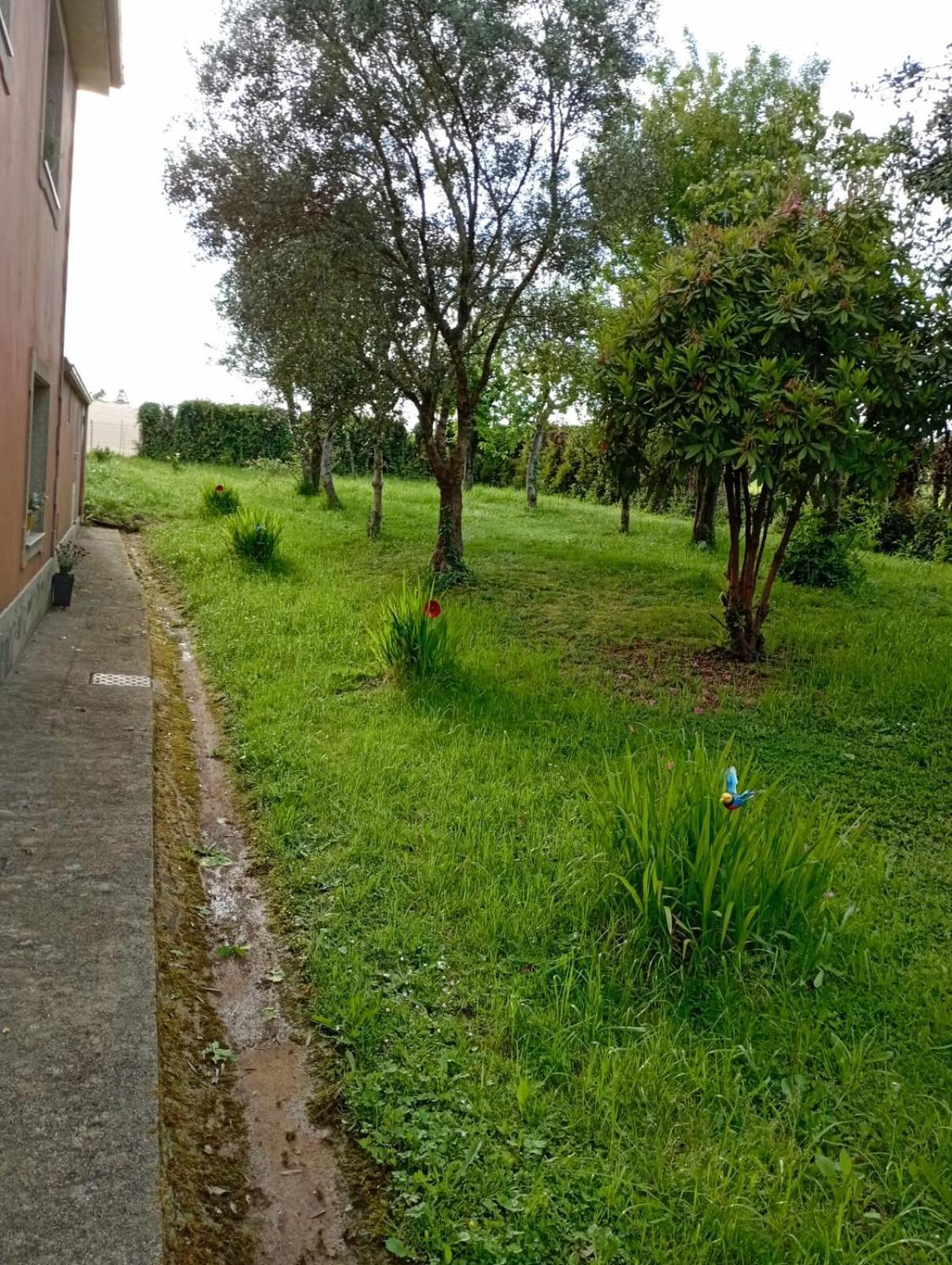 A Casa Do San Paio De Buscas Apartment Ordes Ngoại thất bức ảnh