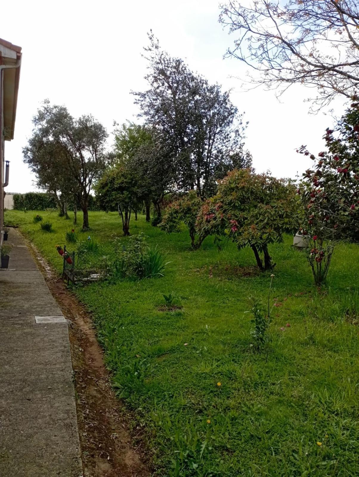 A Casa Do San Paio De Buscas Apartment Ordes Ngoại thất bức ảnh